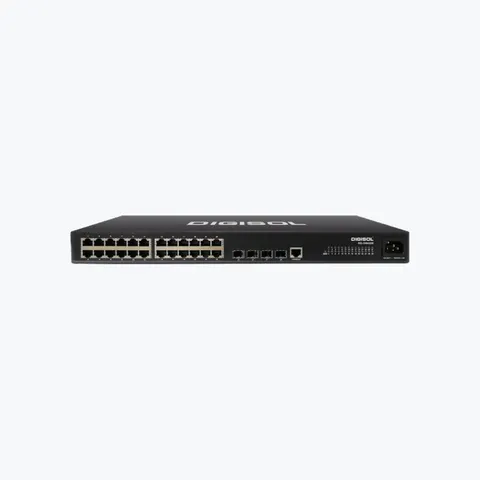 DG-GS4228P